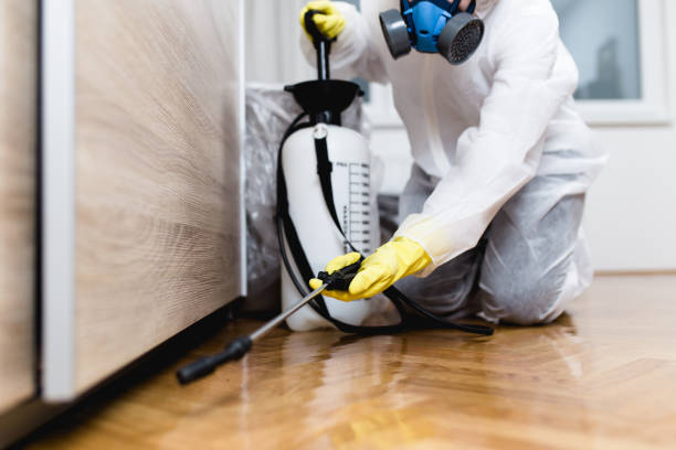 Best Best Pest Control Companies  in Sayreville, NJ