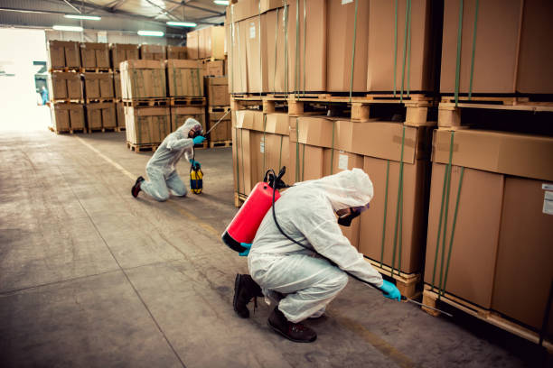 Best Cockroach Control Services  in Sayreville, NJ