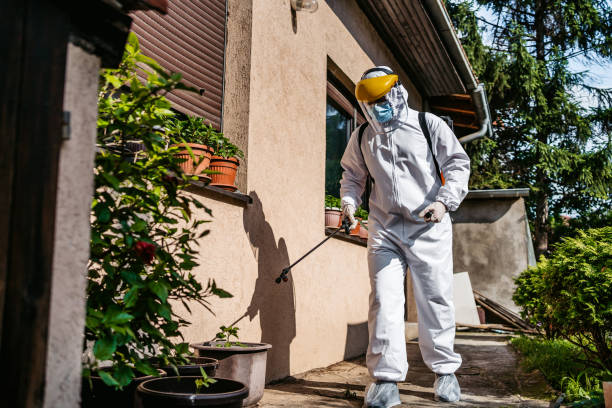 Best Pest Control Near Me in Sayreville, NJ